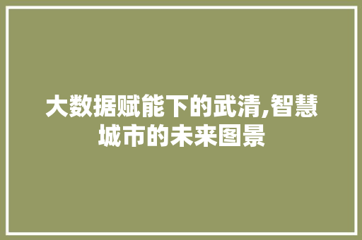 大数据赋能下的武清,智慧城市的未来图景