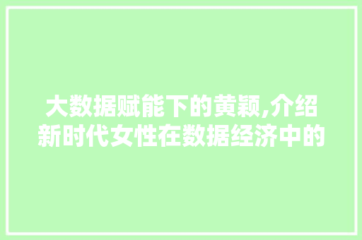 大数据赋能下的黄颖,介绍新时代女性在数据经济中的崛起之路