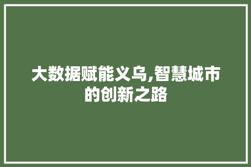 大数据赋能义乌,智慧城市的创新之路