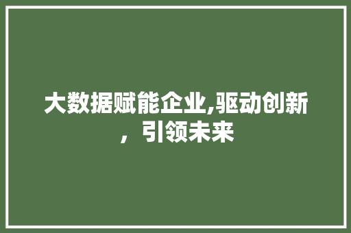 大数据赋能企业,驱动创新，引领未来