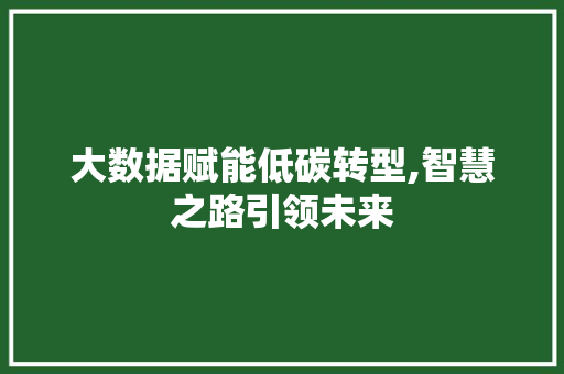 大数据赋能低碳转型,智慧之路引领未来