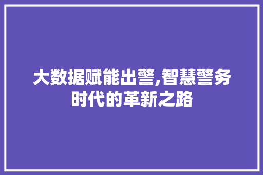 大数据赋能出警,智慧警务时代的革新之路