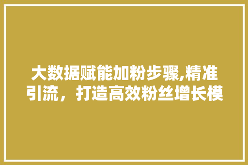 大数据赋能加粉步骤,精准引流，打造高效粉丝增长模型