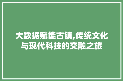 大数据赋能古镇,传统文化与现代科技的交融之旅