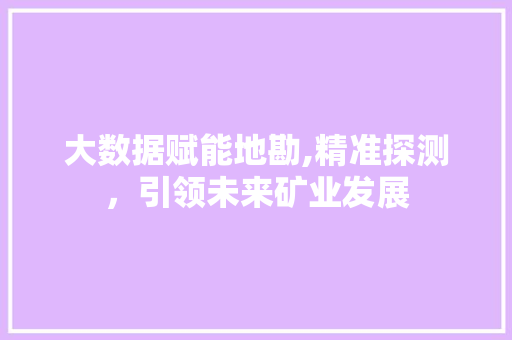 大数据赋能地勘,精准探测，引领未来矿业发展