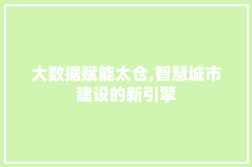 大数据赋能太仓,智慧城市建设的新引擎