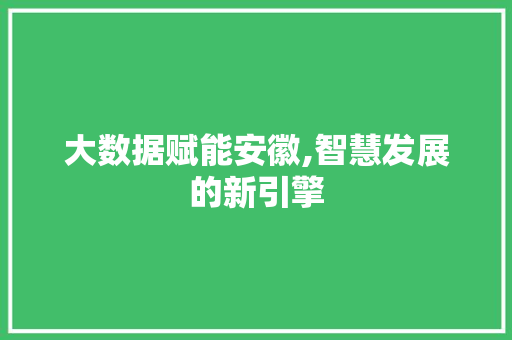 大数据赋能安徽,智慧发展的新引擎