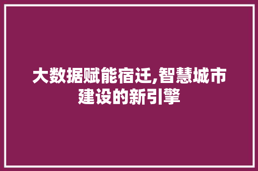 大数据赋能宿迁,智慧城市建设的新引擎