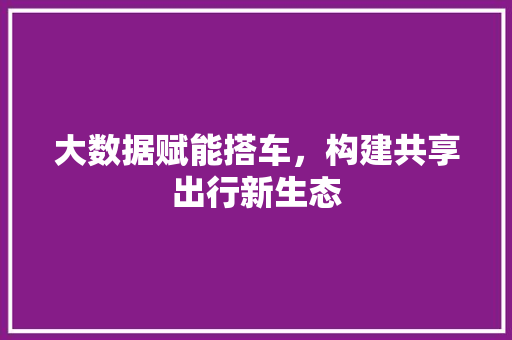 大数据赋能搭车，构建共享出行新生态