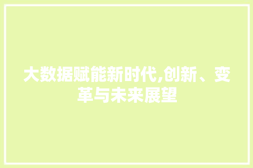 大数据赋能新时代,创新、变革与未来展望