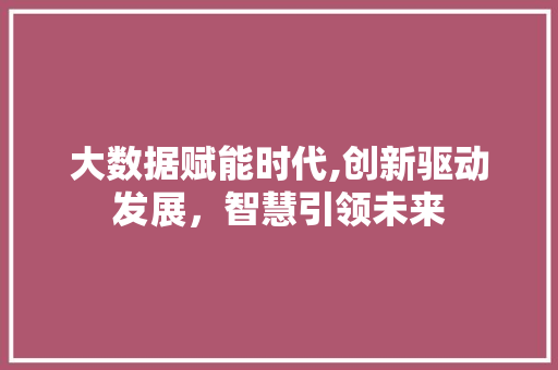 大数据赋能时代,创新驱动发展，智慧引领未来