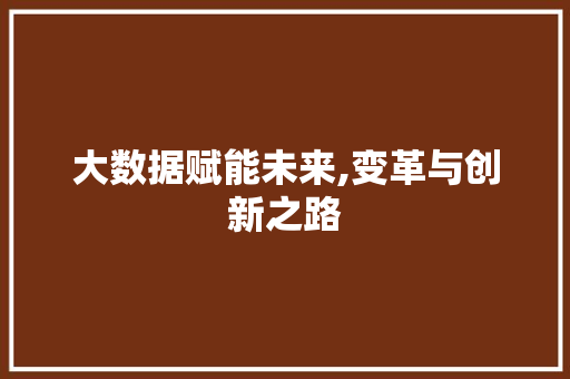 大数据赋能未来,变革与创新之路