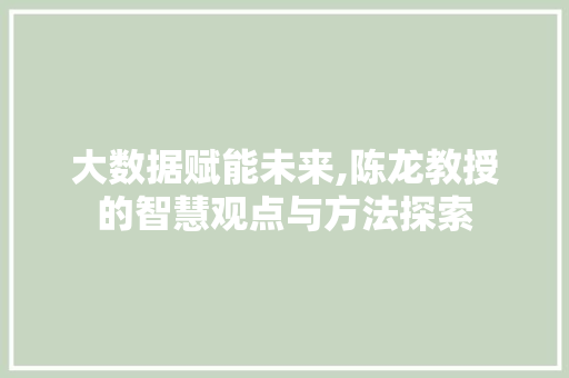 大数据赋能未来,陈龙教授的智慧观点与方法探索