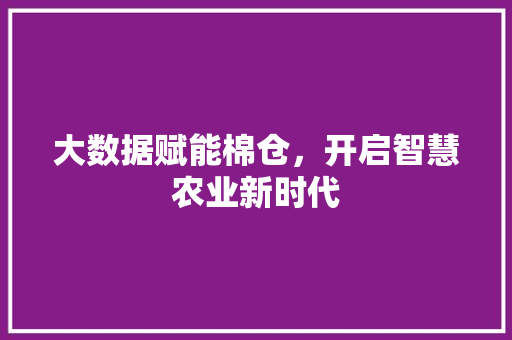 大数据赋能棉仓，开启智慧农业新时代