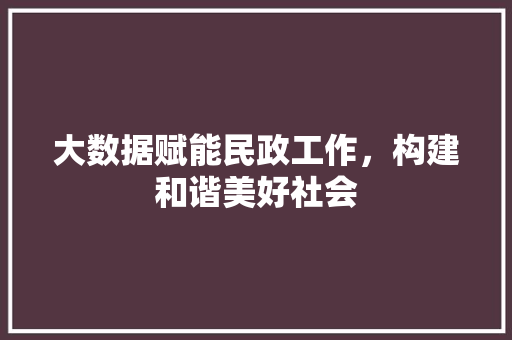 大数据赋能民政工作，构建和谐美好社会