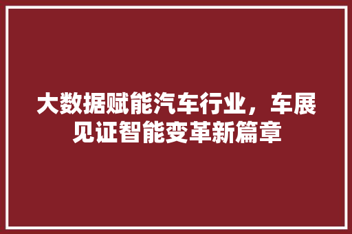 大数据赋能汽车行业，车展见证智能变革新篇章