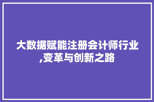 大数据赋能注册会计师行业,变革与创新之路