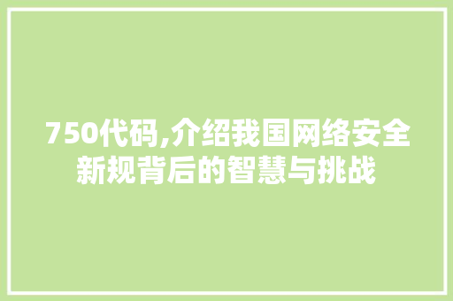 750代码,介绍我国网络安全新规背后的智慧与挑战