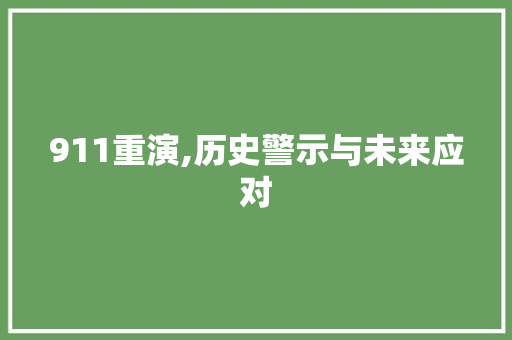 911重演,历史警示与未来应对