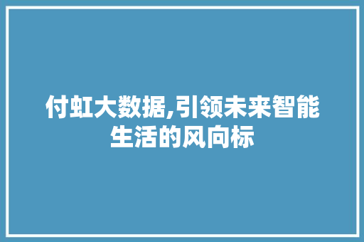 付虹大数据,引领未来智能生活的风向标