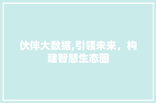 伙伴大数据,引领未来，构建智慧生态圈