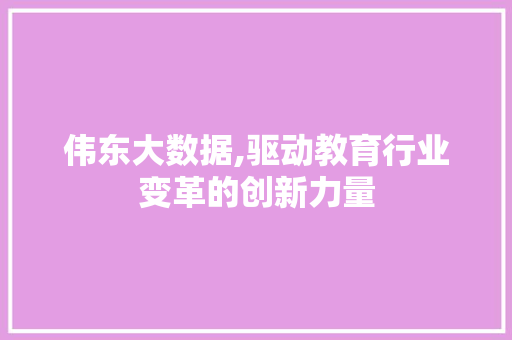 伟东大数据,驱动教育行业变革的创新力量