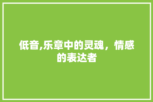 低音,乐章中的灵魂，情感的表达者