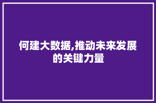 何建大数据,推动未来发展的关键力量 Java