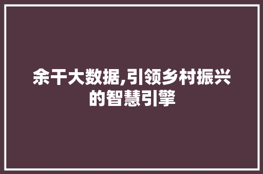 余干大数据,引领乡村振兴的智慧引擎