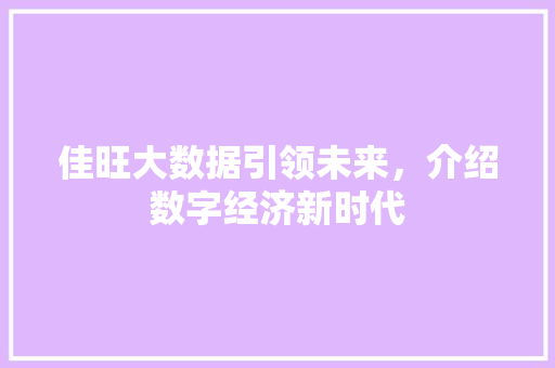 佳旺大数据引领未来，介绍数字经济新时代 JavaScript