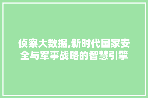 侦察大数据,新时代国家安全与军事战略的智慧引擎