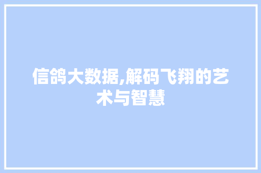 信鸽大数据,解码飞翔的艺术与智慧 AJAX