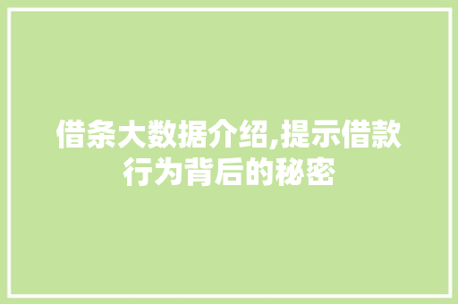 借条大数据介绍,提示借款行为背后的秘密