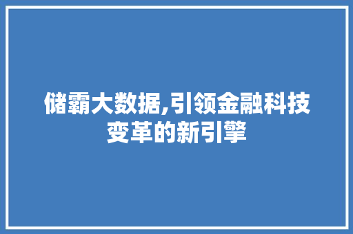 储霸大数据,引领金融科技变革的新引擎