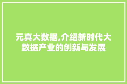 元真大数据,介绍新时代大数据产业的创新与发展