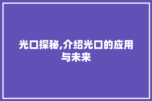 光口探秘,介绍光口的应用与未来