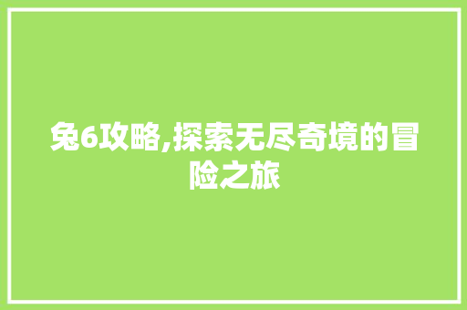 兔6攻略,探索无尽奇境的冒险之旅 CSS