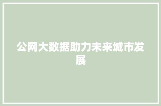 公网大数据助力未来城市发展