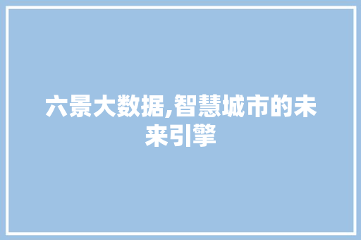 六景大数据,智慧城市的未来引擎