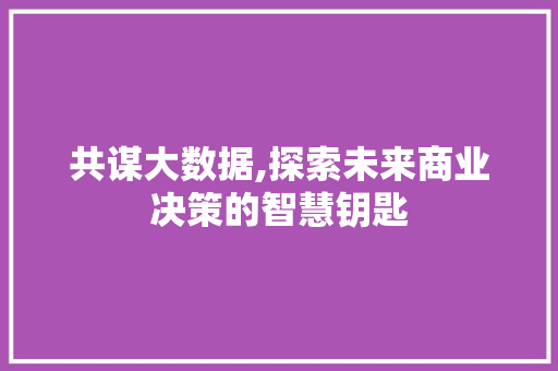 共谋大数据,探索未来商业决策的智慧钥匙