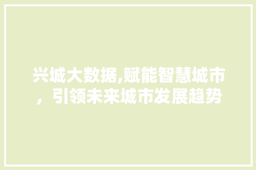 兴城大数据,赋能智慧城市，引领未来城市发展趋势