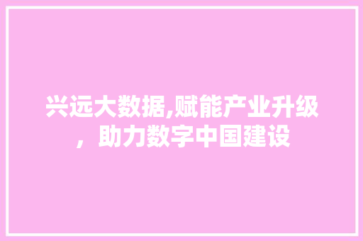 兴远大数据,赋能产业升级，助力数字中国建设 Vue.js