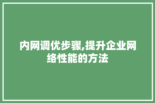 内网调优步骤,提升企业网络性能的方法