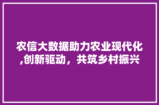 农信大数据助力农业现代化,创新驱动，共筑乡村振兴新篇章