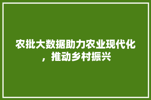 农批大数据助力农业现代化，推动乡村振兴 SQL