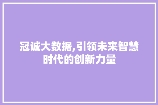 冠诚大数据,引领未来智慧时代的创新力量