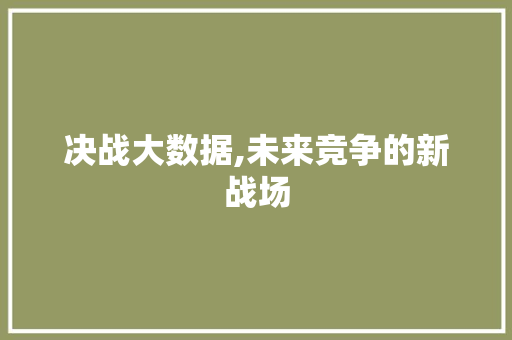 决战大数据,未来竞争的新战场 PHP