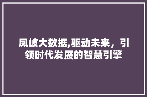 凤岐大数据,驱动未来，引领时代发展的智慧引擎