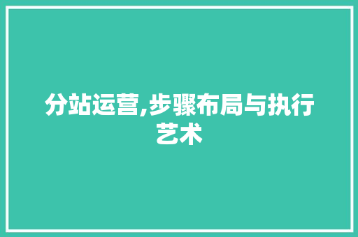 分站运营,步骤布局与执行艺术