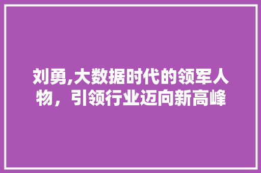 刘勇,大数据时代的领军人物，引领行业迈向新高峰